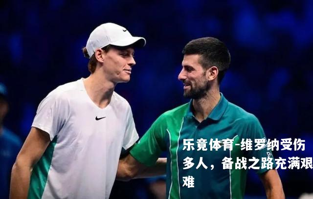 维罗纳受伤多人，备战之路充满艰难