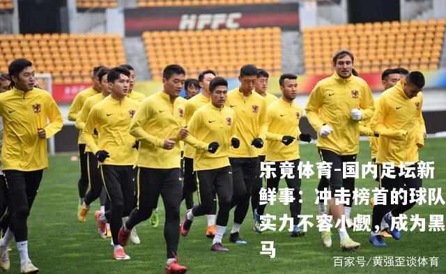 国内足坛新鲜事：冲击榜首的球队实力不容小觑，成为黑马