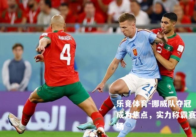 挪威队夺冠成为焦点，实力称霸赛场