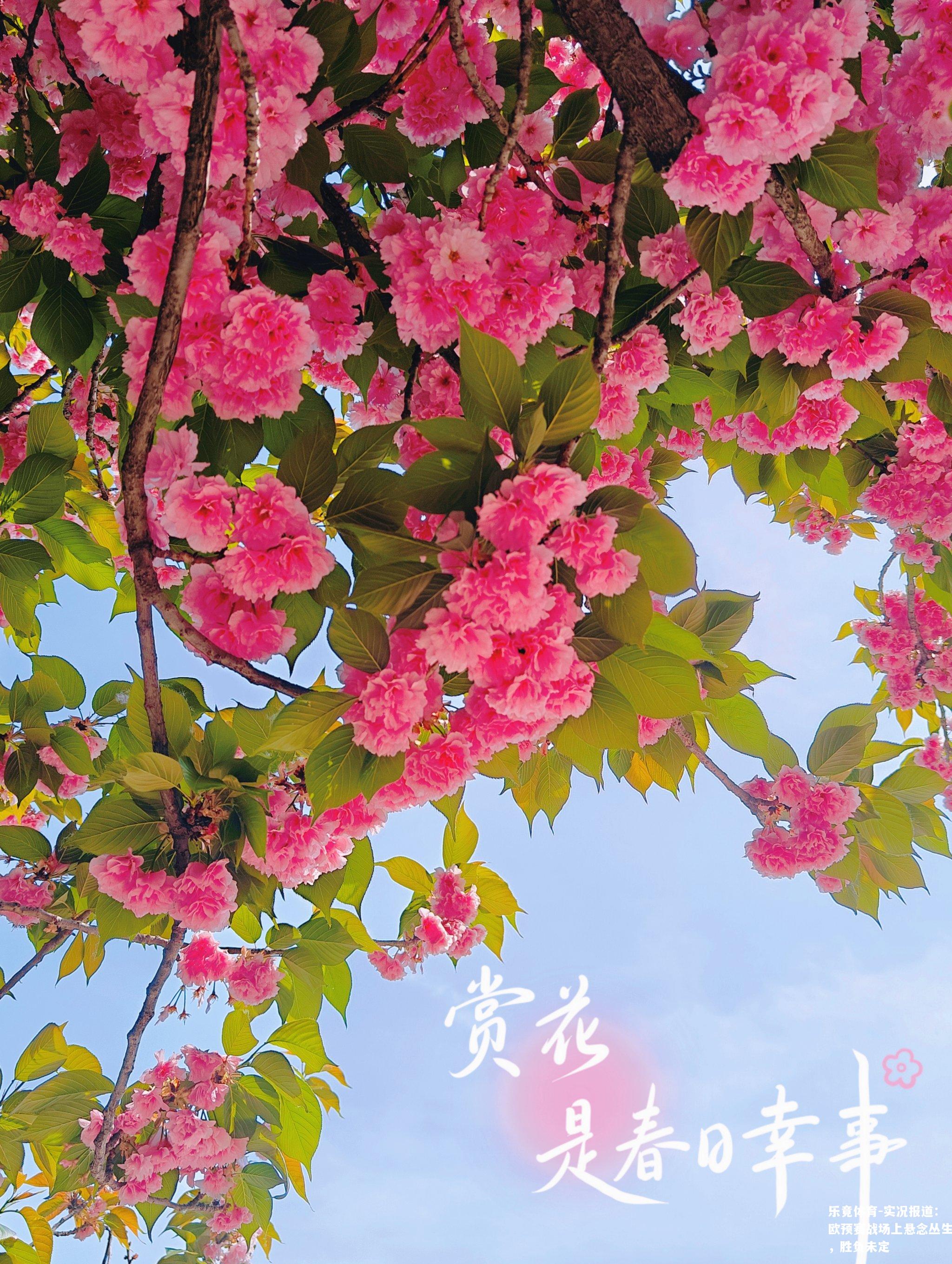 实况报道：欧预赛战场上悬念丛生，胜负未定