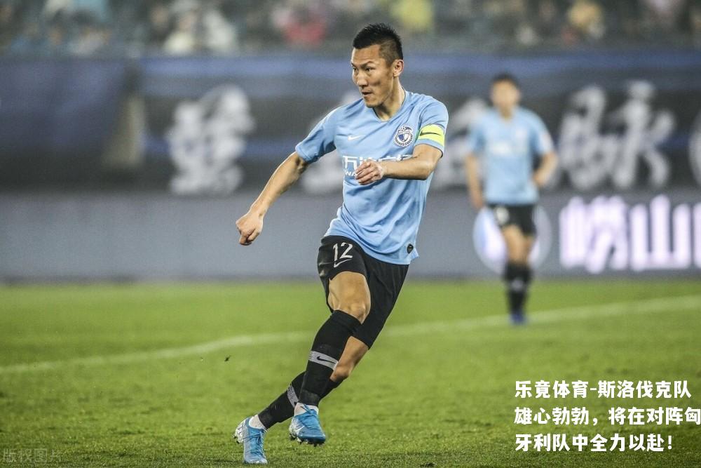 斯洛伐克队雄心勃勃，将在对阵匈牙利队中全力以赴！